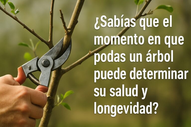 Podar Arboles Cuando: Guía Experta para 2026