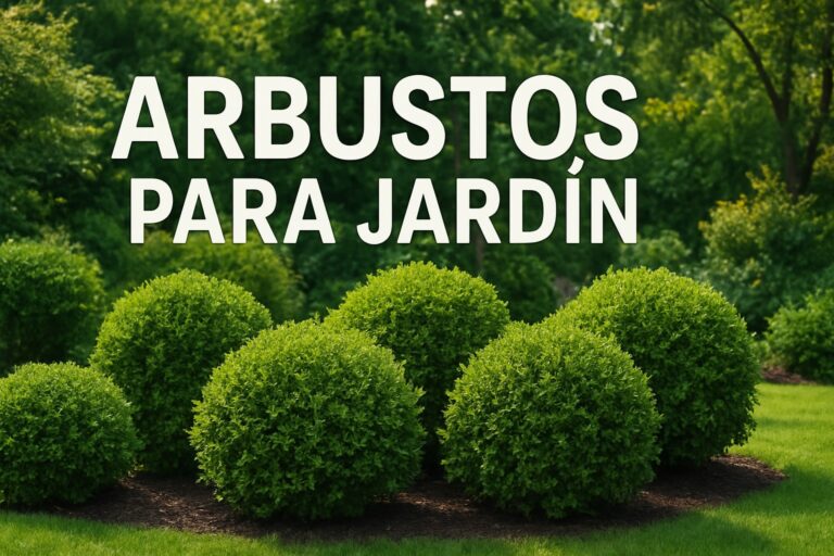 7 Arbustos Para Jardín Imprescindibles Para 2026