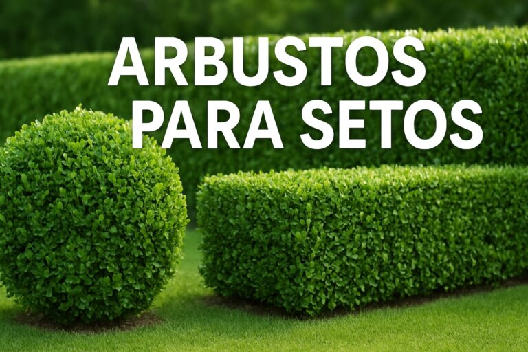 8 Arbustos Para Setos Ideales Para Tu Jardín en 2026