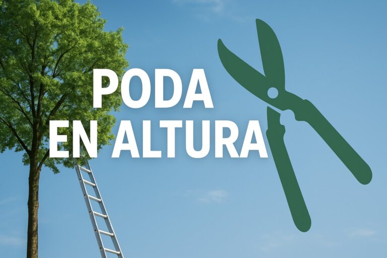 Guía Completa de Poda en Altura: Consejos 2026