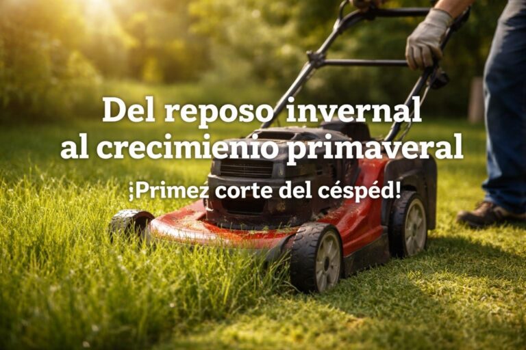 Césped – Primer Corte de la Temporada 2026